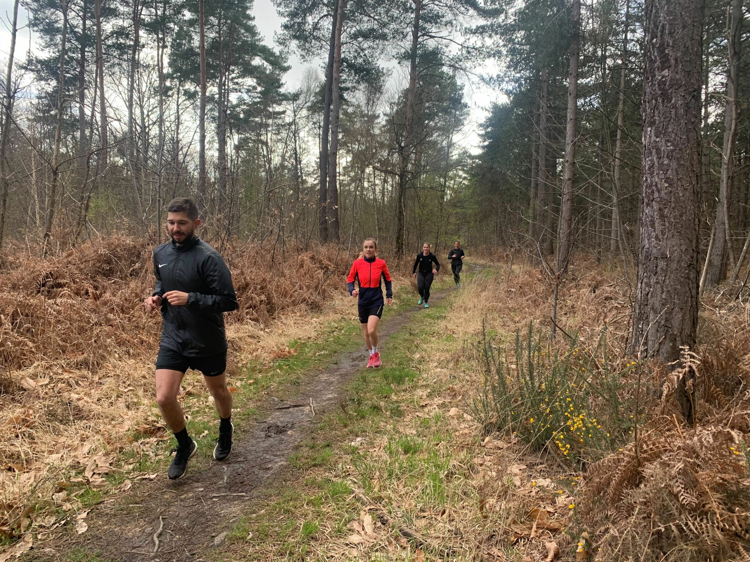 école de Trail 53 Entrainement trail au bois de l'huisserie